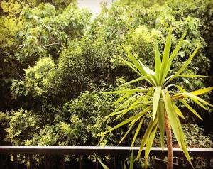 モンペリエにあるAppartement d'une chambre avec terrasse amenagee et wifi a Montpellier a 5 km de la plageのギャラリーの写真