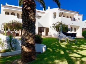 a palm tree in front of a house at 3 bedrooms house at Carvoeiro 650 m away from the beach with shared pool furnished garden and wifi in Carvoeiro