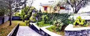 A garden outside Spacious Apartment in Zafferana Etnea 65 m² with Private Garden