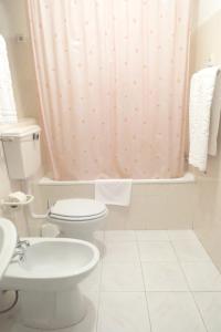 a bathroom with a toilet and a shower curtain at One bedroom apartement with city view balcony and wifi at Alvoco da Serra in Alvoco da Serra