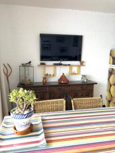 ein Tisch mit einer Topfpflanze auf einer gestreiften Tischdecke in der Unterkunft Bright apartment with sea view in Llançà - 90 m² - Terrace in Llança + 20 Fotos