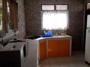 uma cozinha com um lavatório, um fogão e uma janela em Maison de 3 chambres avec vue sur la mer terrasse et wifi a Vieux Habitants em Vieux-Habitants