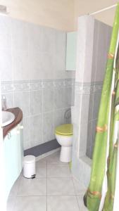 a bathroom with a toilet and a green shower curtain at Maison charmante à Gros-Morne + jardin in Gros-Morne +10 photos