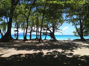 a beach with trees and the ocean in the background at Charming house in Victoria with mountain view in Victoria +11 photos