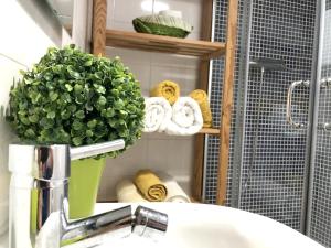 a bathroom sink with a green plant and towels at Comfortable House in Ribeira Grande, Pleasant Garden in Ribeira Grande +14 photos