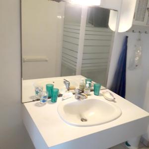 a bathroom with a white sink and a mirror at Appartement de 2 chambres avec vue sur la mer et jardin clos a Le Moule a 1 km de la plage in Le Moule