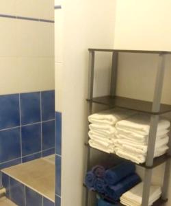 a bathroom with a towel rack with towels at Studio avec vue sur la mer jardin amenage et wifi a La Trinite in La Trinité
