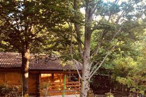 Zahrada ubytování Cozy Chalet in Castell'Arquato 90 m² with Private Pool