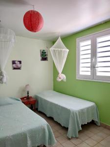 two beds in a room with green walls and windows at Appartement confortable à Sainte-Anne, 70m², vue jardin in Sainte-Anne