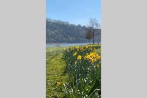 Naturlandschaft in der Nähe der Ferienwohnung