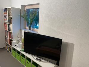 Телевизор и/или развлекательный центр в Limes Apartment -übernachten am Limes-