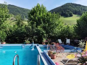 Bazén v ubytování Ferienwohnung Vogelsang im Schwarzwald nebo v jeho okolí