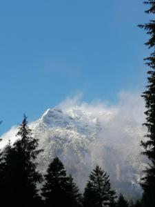 ein Berg voller Wolken mit Bäumen im Vordergrund in der Unterkunft HOSTEL CPPI Vest in Buşteni