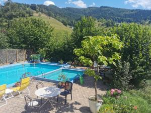 Bazén v ubytování Ferienwohnung Vogelsang im Schwarzwald nebo v jeho okolí