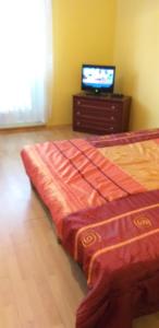 ein Schlafzimmer mit einem Bett und einem TV auf einer Kommode in der Unterkunft Kwatera Tolkmicko in Tolkmicko