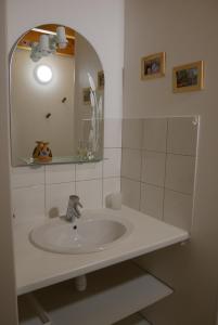 ein Bad mit einem Waschbecken und einem Spiegel in der Unterkunft Appartement dans chalet avec jardin, vue montagne in Aucun