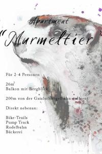 un poster per un concerto con un uccello di Landhaus Martinus a Sölden