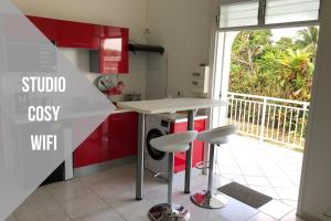 Kuchyň nebo kuchyňský kout v ubytování Lodge Sopraia Jardin-spacieux- Jacuzzi- Proche aéroport