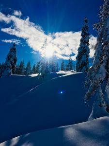 Tom's Jägerlodge durante l'inverno