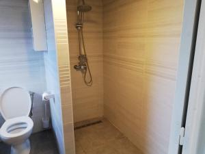 a bathroom with a toilet and a shower at Appartement spacieux in Sainte-Marie