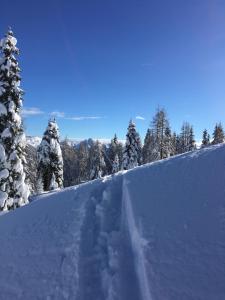 Tom's Jägerlodge durante l'inverno
