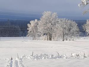 Alpenlodge Kirchbach v zimě