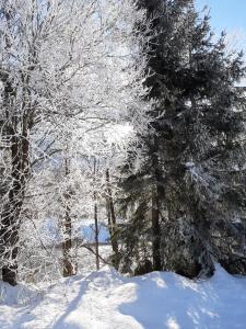 Alpenlodge Kirchbach v zimě