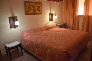 ein Schlafzimmer mit einem Bett und einem Stuhl und einem Fenster in der Unterkunft Cabañas Puerta del Sol in San Rafael