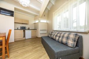 ein Wohnzimmer mit Couch und Küche in der Unterkunft Apartamentai Upė in Šventoji
