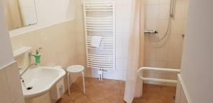 a small bathroom with a sink and a shower at Garni Hotel Zum Hothertor in Görlitz