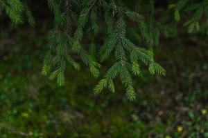 Fotografie z fotogalerie ubytování Zauberhaft im Naturpark Altmühltal v destinaci Greding