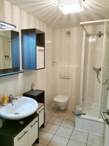 ein Bad mit einem Waschbecken, einem WC und einer Dusche in der Unterkunft Apartments Villa-Ratskopf Wernigerode in Wernigerode