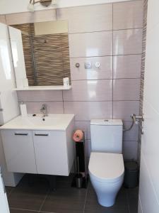y baño con aseo, lavabo y espejo. en Vila Maslinica, en Pučišća
