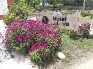 Fotografie z fotogalerie ubytování Hotel Campestre la Loma curiti v destinaci Curití