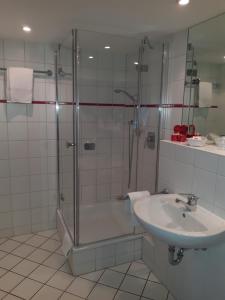y baño con ducha y lavamanos. en Hotel Haus Appelberg, en Dinkelsbühl