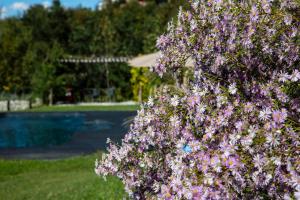 Zahrada ubytování ROSTAGNI1834: VILLA WITH 2 APTS AND POOL IN THE BAROLO REGION