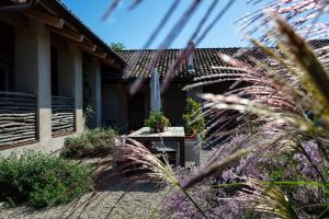 Zahrada ubytování ROSTAGNI1834: VILLA WITH 2 APTS AND POOL IN THE BAROLO REGION