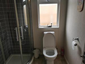 a bathroom with a toilet and a shower and a window at Captivatingly Stunning 2-Bed Cabin in Bridlington in Bridlington