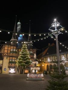 a christmas tree in front of a building with lights at Ferienhaus Anno 1599 in Wernigerode