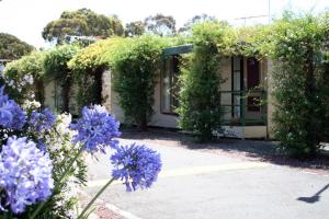 a garden with purple flowers in front of a house at West City Motel in Ardeer