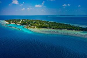 an aerial view of an island in the ocean at Turtle Maldives - Your Gateway to the Beach & Marine Adventures Await! in Omadhoo