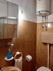 a bathroom with a toilet and a mirror at Apartments Villa Vanja in Povlja +39 photos