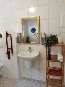 Koupelna v ubytování Ferienwohnung Vogelsang im Schwarzwald