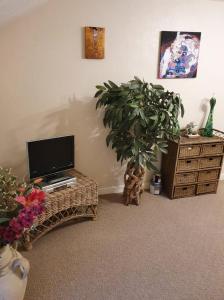 un soggiorno con TV e tavolo con una pianta di Victorian Townhouse a Banbury