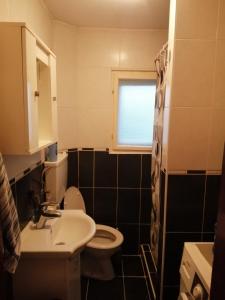 Koupelna v ubytování Apartman Nebojša