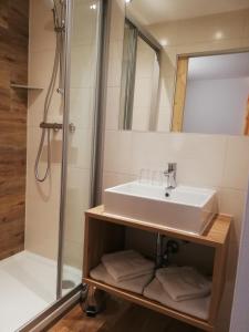La salle de bains est pourvue d'un lavabo et d'une douche. dans l'établissement Gästehaus Pürstl-Kocher, à Schladming