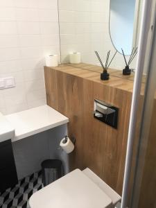 W łazience znajduje się biała toaleta i lustro. w obiekcie Apartament Diuna w Grzybowie +20 zdjęć