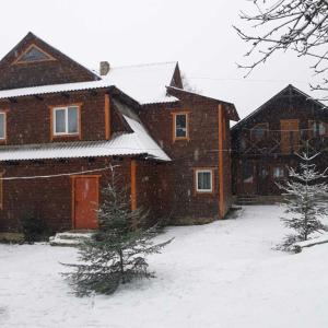 a house covered in snow with trees in front of it at Kazka in Yablunytsya