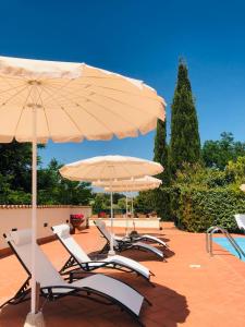 een groep stoelen en parasols op een patio bij Villa Lavinia B&B in Montescudaio