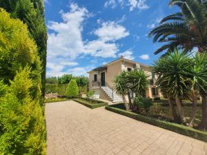 a house with palm trees and a driveway at Acroploro in Galaxidi